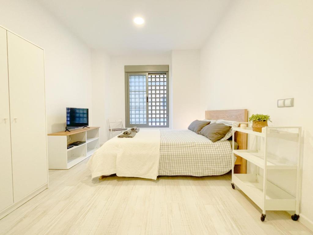 Estudio-Malaga-Centro-Life-in-Malaga-1