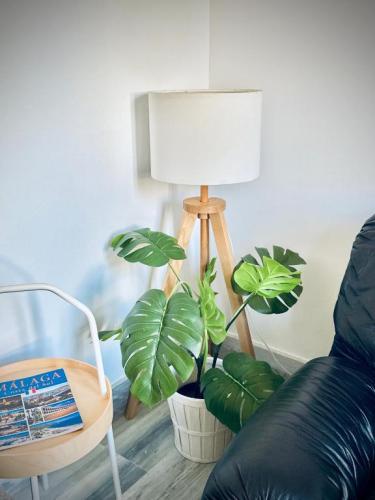 Amplio-y-luminoso-apartamento-Plz-de-la-Merced-Life-in-Malaga-18