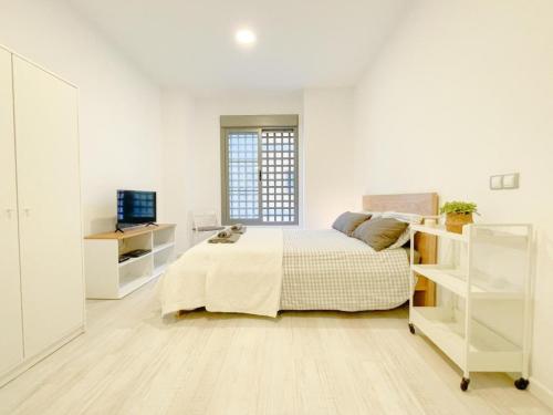 Estudio-Malaga-Centro-Life-in-Malaga-1