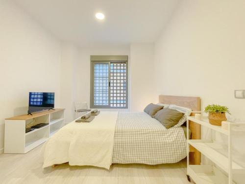 Estudio-Malaga-Centro-Life-in-Malaga-18