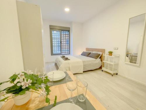 Estudio-Malaga-Centro-Life-in-Malaga-19