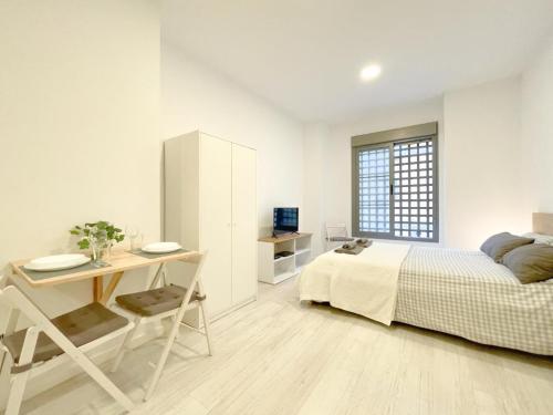 Estudio-Malaga-Centro-Life-in-Malaga-20