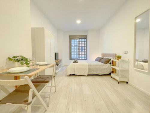 Estudio-Malaga-Centro-Life-in-Malaga-21
