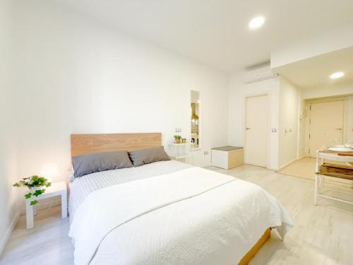 Estudio-Malaga-Centro-Life-in-Malaga-9